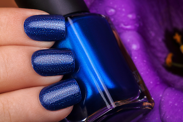 포토 JPG 해외이미지 손 꽃 손가락 휴가 미술 이벤트 사람없음 파란색 빛 유행 화장품 덮개 난초 손톱관리 손톱 아크릴 스타일 해외202004 해외포토 식물 컬러 재질 문화예술 신체부위 뷰티 뚜껑 네일아트 파일형식 이미지허브