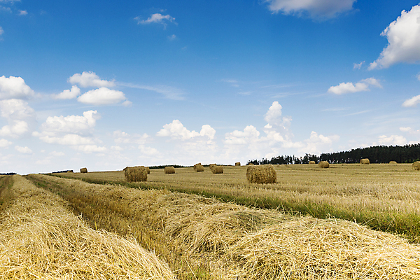 포토 JPG 해외이미지 구름 공원 호수 농업 자연 하늘 휴가 산 파노라마 풍경 사람없음 초록색 물 여름 파란색 평화 걷기 마을 검은색 수영 침묵 하이킹 시골 뜨거움 황무지 습지 숲 땅 언덕 장면 사이클링 폴란드 해외202004 해외포토 자연요소 계절 공공시설 유럽 산업 컬러 컨셉 모션 레저 촬영기법 소리 수상스포츠 육상스포츠 생태계 파일형식 이미지허브