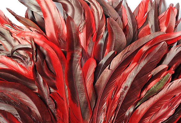 포토 JPG 해외이미지 동물 디자인 남자 야생동물 백그라운드 패턴 자연 조류 미술 사람없음 장식 초록색 빛 컬러풀 노란색 치킨 흰색 우아함 공작 깃털 오브젝트 질감 꼬리 솜털 수탉 고립 이국적 해외202004 해외포토 컬러 컨셉 무늬 문화예술 사람 닭 수컷 생태계 닭고기요리 파일형식 이미지허브