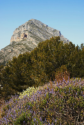 포토 JPG 해외이미지 식물 계절 꽃 유럽 여행 꽃무늬 자연 하늘 휴가 산 파노라마 풍경 사람없음 야외 여름 파란색 햇빛 환경 보라색 봄 등산 하이킹 시골 스페인 허브 제비꽃 향수 향기 아로마 아로마테라피 라벤더 라일락 내추럴 산악지대 스페인어 절정 프로방스 해외202004 해외포토 나라 컬러 무늬 레저 촬영기법 태양 화장품 트래킹 생태계 냄새 테라피 파일형식 이미지허브