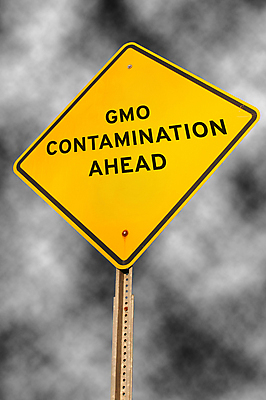 포토 JPG 해외이미지 도로 음식 과학 농업 통신 교통시설 생물 건강 경고 안전 사람없음 노란색 표지판 메시지 생명공학 위험 심볼 사인 유기농 예방 생물학 도로표지판 조심 공지사항 공학 소통 경고문 경보 길가 유전 유전자변형 조작 주목 해로움 해외202004 해외포토 웰빙 교육 산업 길 컬러 교통 컨셉 의학 알림판 시설 파일형식 이미지허브