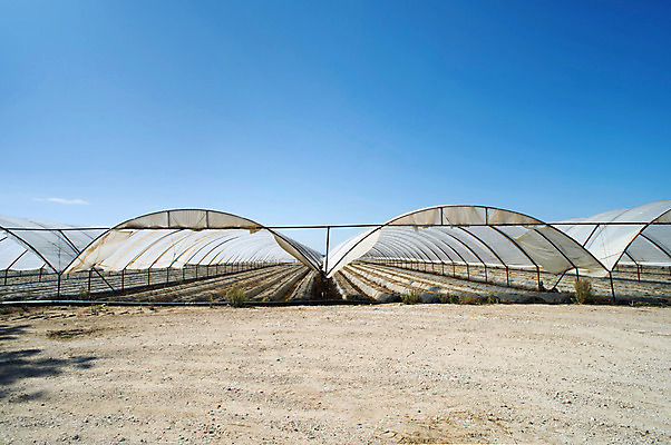 포토 JPG 해외이미지 식물 산업 음식 농업 채소 비즈니스 자연 유리 사람없음 내부 초록색 농장 정원 놀이방 수확 성장 시장 유기농 원예 밭일 온실 그리너리 세련 해외202004 해외포토 웰빙 컬러 재질 취미 생태계 파일형식 트랜드컬러 이미지허브