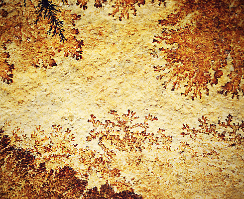 포토 JPG 해외이미지 디자인 벽 백그라운드 패턴 오렌지 건축양식 자연 표면 추상 사람없음 야외 장식 갈색 검은색 수확 바위 흰색 묘사 질감 대리석 선사시대 그런지 양치류 옛날 지질학 효과 해외202004 해외포토 교육 건축 컬러 무늬 농업 과일 재료 돌_바위 역사 생태계 파일형식 이미지허브