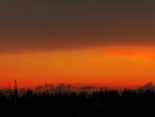 포토 JPG 해외이미지 나무 구름 응시 실루엣 백그라운드 패턴 오렌지 자연 벽지 하늘 불꽃 안테나 어류 풍경 사람없음 야외 빛 노란색 우주 환경 어둠 침묵 황혼 일몰 새벽 활발 소나무 고독 야간 숲 땅 질감 조경 문학 장면 지역 상록수 침엽수 빛망울 내추럴 광 넘어짐 멀티 삼림지대 절정 수평선 해외202004 해외포토 자연요소 식물 시선 감정 컬러 컨셉 무늬 과일 통신 모션 불 촬영기법 노을 수중동물 소리 생태계 파일형식 이미지허브