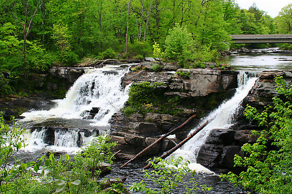 포토 JPG 해외이미지 나무 공원 자연 산 이끼 풍경 사람없음 야외 초록색 물 강 폭포 젖음 흐름 가을 개울 떨어짐 매끈함 숲 상쾌 암초 내추럴 해외202004 해외포토 자연요소 식물 계절 공공시설 감정 컬러 컨셉 감각 생태계 파일형식 이미지허브