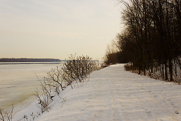 포토 JPG 해외이미지 나무 공원 길 겨울 자국 자연 사람없음 물 강 평화 하이킹 농촌 시골 숲 오솔길 해외202004 해외포토 자연요소 식물 계절 공공시설 컨셉 레저 생태계 파일형식 이미지허브