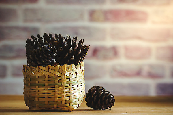 포토 JPG 해외이미지 나무 디자인 계절 꽃 벽 백그라운드 크리스마스 패턴 자연 탁자 아침 휴가 벽돌 건조 따뜻함 그림자 사람없음 목재 장식 빛 갈색 쌓기 바구니 수확 벚꽃 가을 시골 신선 소나무 그룹 공예 대나무 책상 오브젝트 질감 복고 향기 냄새 원뿔 짜임 옛날 정교 스타일 해외202004 해외포토 주간 도형 식물 기념일 컬러 가구 무늬 농업 재료 모션 취미 생태계 파일형식 이미지허브