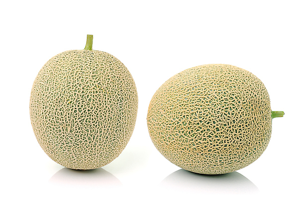 포토 JPG 해외이미지 1 길 음료 음식 조각 백그라운드 과일 디저트 수박 건강 육류 선물 씨앗 사람없음 초록색 여름 파란색 노란색 흰색 신선 그물 고급 달콤 멜론 자르기 먹기 싱글 질감 심플 망사 고립 해외202004 해외포토 식물 계절 컬러 컨셉 식재료 모션 직물 맛 파일형식 이미지허브