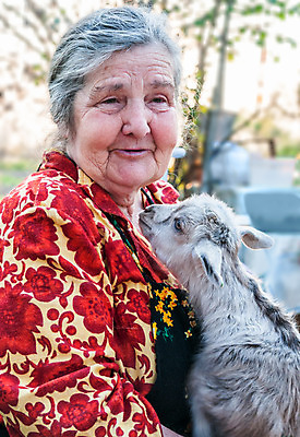 포토 JPG 해외이미지 동물 백인 응시 공원 여자 노년 행복 할머니 얼굴 생각 농업 자연 휴식 염소 건강 한명 사람 성인 야외 반려동물 마을 산책 회색 흰색 잡기 숲 은퇴 70대 밭일 옛날 혼자 해외202004 해외포토 서양인 1 시선 공공시설 감정 산업 컬러 컨셉 포유류 모션 신체부위 생태계 파일형식 이미지허브