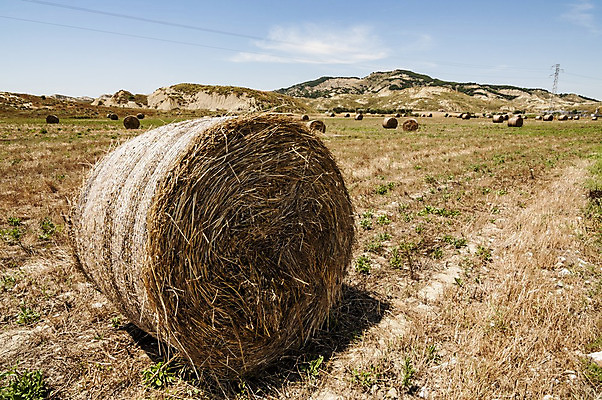 포토 JPG 해외이미지 구름 빵 농업 오렌지 조류 사람없음 빨간색 햇빛 태양 농장 노란색 일출 성경 일몰 이탈리아 수확 가을 시골 황금 볏짚 낟알 땅 자르기 밀 만들기 보리 뭉치 넘어짐 수평선 해외202004 해외포토 자연요소 동물 계절 유럽 산업 음식 컬러 과일 종교용품 모션 곡류 노을 짚 파일형식 이미지허브