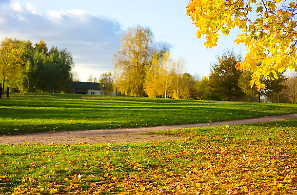 포토 JPG 해외이미지 나무 구름 공원 단풍 잎 하늘 풍경 사람없음 빨간색 초록색 햇빛 태양 노란색 정원 가을 장면 러시아인 모스크바 해외202004 해외포토 자연요소 서양인 식물 계절 공공시설 컬러 러시아 파일형식 이미지허브