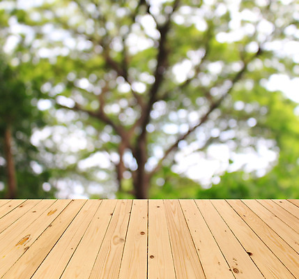 포토 JPG 해외이미지 나무 식물 계절 공원 길 벽 백그라운드 잎 자연 탁자 바닥 풍경 사람없음 야외 목재 초록색 여름 빛 햇빛 태양 환경 정원 맑음 침묵 수확 성장 나뭇가지 널 소프트포커스 숲 큼 에코 원예 복고 보케 나무껍질 내추럴 블러 해외202004 해외포토 자연요소 공공시설 컬러 가구 농업 재료 날씨 촬영기법 취미 소리 껍질 크기 생태계 파일형식 이미지허브