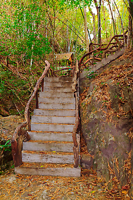 포토 JPG 해외이미지 나무 디자인 패턴 건축양식 주택 사람없음 내부 건물 목재 빛 계단 바위 오르기 단계 스타일 해외202004 해외포토 식물 건축물 건축 무늬 재료 모션 돌_바위 파일형식 이미지허브