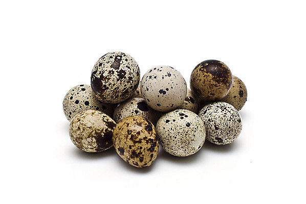 포토 JPG 해외이미지 산업 음식 오렌지 비즈니스 재료 조류 건강 요리 사람없음 농장 노란색 판매 계란 치킨 가축 페인트 껍질 잡기 점 원형 상품 사건 수집 날것 노른자 부화 오믈렛 수탉 깨짐 단백질 단절 메추리 암탉 적자 취급주의 해외202004 해외포토 도형 동물 컬러 컨셉 농업 과일 모션 경고 알 닭 암컷 계란요리 수컷 닭고기요리 영양소 파일형식 이미지허브