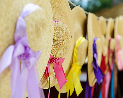 포토 JPG 해외이미지 디자인 옷 여자 꽃 리본 분홍색 백그라운드 패턴 휴가 사람없음 빨간색 컬러풀 태양 농장 갈색 노란색 머리 유행 보라색 봄 수확 시골 보호 오브젝트 질감 복고 밀짚 캡모자 스타일 해외202004 해외포토 자연요소 식물 모자_잡화 계절 컬러 컨셉 무늬 농업 사람 신체부위 짚 파일형식 이미지허브