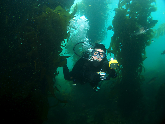 포토 JPG 해외이미지 바다 섬 자연 어류 가면 한명 물 마주보기 카메라 수중 미국 장비 사진사 캘리포니아 지느러미 태평양 암초 로스앤젤레스 다시마 가리발디 해외202004 해외포토 자연요소 1 북아메리카 모션 사람 전자제품 수중동물 해조류 작가 생태계 위인 정치가 파일형식 이미지허브