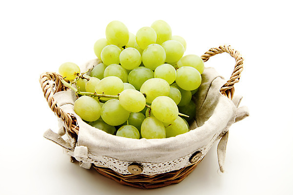 포토 JPG 해외이미지 음식 과일 포도 건강 사람없음 초록색 바구니 수확 나뭇가지 신선 맛 발사 먹기 흰배경 해외202004 해외포토 나무 컬러 백그라운드 컨셉 농업 모션 흰색 파일형식 이미지허브