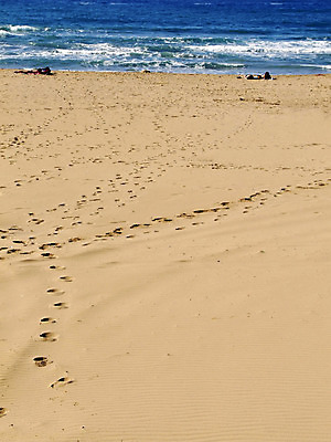 포토 JPG 해외이미지 유럽 물결 어린이 모래 파도 바다 백그라운드 가족 자연 휴가 사람 풍경 사람없음 야외 여름 모래사장 컬러풀 태양 여행객 평화 맑음 만 뜨거움 서핑 발자국 지중해 순수 엽서 장면 몰타섬 선로 주입구 해외202004 해외포토 자연요소 계절 나라 컬러 섬 컨셉 관계 자국 날씨 수상스포츠 편지 생태계 몰타 파일형식 이미지허브