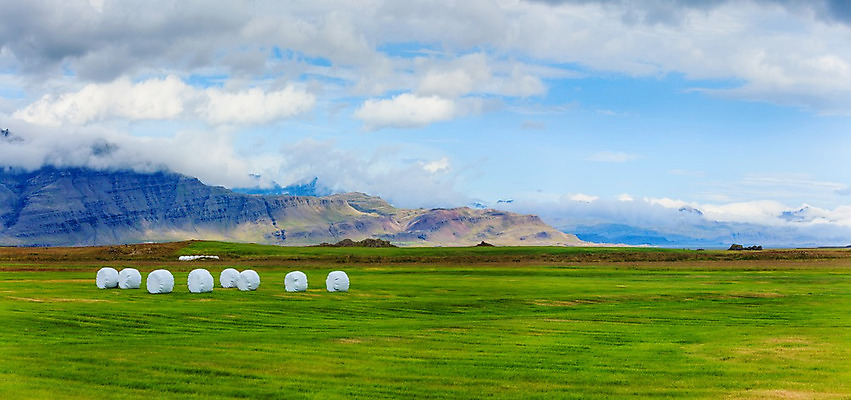 포토 JPG 해외이미지 구름 계절 유럽 종이 음식 밭 농업 채소 자연 하늘 아이슬란드 풍경 사람없음 야외 초록색 여름 농작물 햇빛 농장 황혼 수확 흰색 시골 볏짚 보호 저녁 플라스틱 자르기 북쪽 뭉치 밀짚 수유 줄서기 포장소품 해외202004 해외포토 자연요소 나라 산업 컬러 컨셉 포장 모션 재질 태양 일몰 짚 야간 방향 오브젝트 생태계 포장재료 파일형식 이미지허브