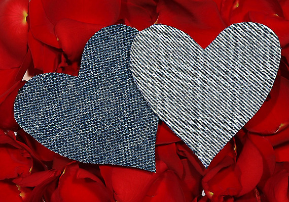 포토 JPG 해외이미지 옷 꽃잎 꽃 감정 백그라운드 패턴 일러스트 관계 발렌타인데이 사랑 사람없음 가로 빨간색 파란색 유행 희망 청바지 하트 직물 면 질감 해외202004 해외포토 모양 식물 컬러 무늬 바지 데이이벤트 파일형식 이미지허브