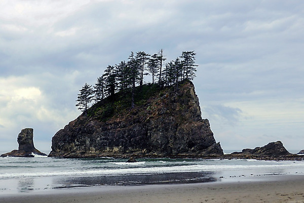 포토 JPG 해외이미지 식물 구름 공원 실루엣 모래 바다 여행 백그라운드 북아메리카 자연 하늘 풍경 사람없음 목재 물 여름 파란색 환경 미국 황혼 황무지 야간 저녁 숲 통나무 태평양 생태학 전국 해외202004 해외포토 자연요소 나무 계절 공공시설 교육 컬러 재료 촬영기법 아메리카 일몰 생태계 파일형식 이미지허브