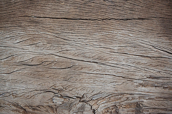 포토 JPG 해외이미지 나무 디자인 외관 벽 백그라운드 패턴 부분 자연 표면 바닥 프레임 건조 미술 사람없음 야외 내부 목재 가로 빛 갈색 어둠 공백 골동품 소나무 판넬 널 매끈함 사인 질감 복고 호두 내추럴 수목 엘리먼트 옛날 합판 파케트 해외202004 해외포토 식물 컬러 무늬 재료 문화예술 견과류 감각 생태계 파일형식 이미지허브