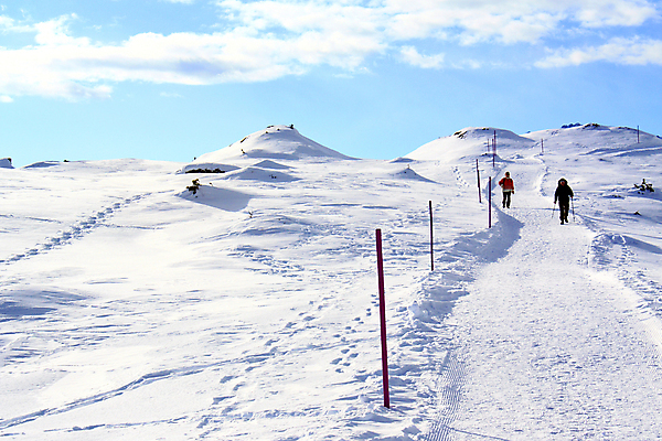 포토 JPG 해외이미지 계절 크리스마스 겨울 자연 하늘 휴가 휴식 산 그림자 풍경 사람없음 야외 파란색 햇빛 평화 맑음 얼음 추위 흰색 신선 숲 12월 11월 가루 스위스 언덕 서리 암초 마법 1월 웅장함 눈내림 겨울풍경 해외202004 해외포토 자연요소 기념일 유럽 컬러 컨셉 날씨 눈_날씨 태양 날짜 생태계 파일형식 이미지허브