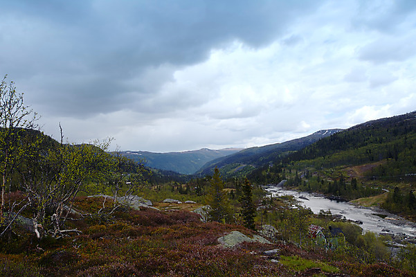 포토 JPG 해외이미지 나무 구름 공원 여행 자연 하늘 날씨 휴가 산 파노라마 스웨덴 노르웨이 풍경 사람없음 야외 초록색 물 여름 파란색 강 환경 계곡 봄 하이킹 바위 황무지 고독 북극 언덕 지역 북쪽 멀리 전국 해외202004 해외포토 자연요소 식물 계절 공공시설 감정 유럽 컬러 레저 촬영기법 북유럽 돌_바위 극지방 방향 생태계 파일형식 이미지허브
