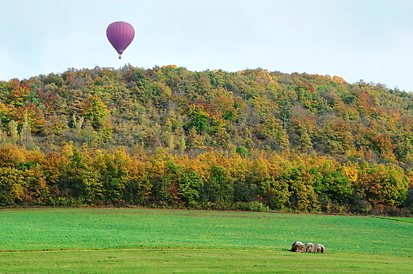 포토 JPG 해외이미지 나무 계절 공원 스포츠 잎 오렌지 자연 하늘 새로움 산 안테나 풍경 사람없음 야외 목재 초록색 컬러풀 갈색 노란색 가을 시골 뜨거움 황금 숲 땅 장면 지역 풍선 내추럴 해외202004 해외포토 식물 공공시설 컬러 컨셉 과일 재료 통신 생태계 파일형식 이미지허브