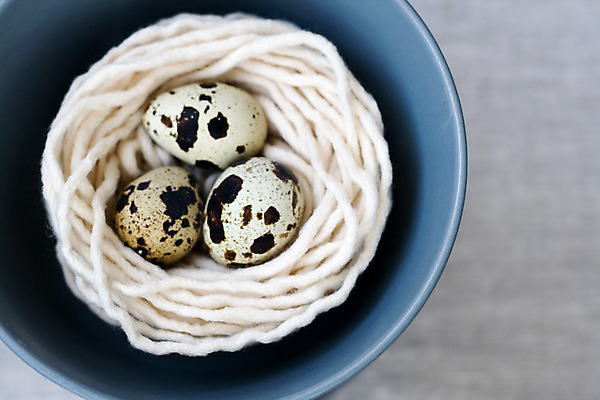 포토 JPG 해외이미지 접시 다이어트 아침 건강 사람없음 흰색 직물 면 도자기 실 맛 둥지 아침식사 은색 작음 메추리 해외202004 해외포토 주간 식기 컬러 컨셉 식사 크기 파일형식 이미지허브