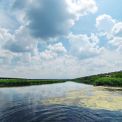 포토 JPG 해외이미지 구름 물결 파도 백그라운드 자연 하늘 표면 갈대 풍경 사람없음 야외 초록색 물 여름 파란색 빛 강 햇빛 태양 반사 환경 맑음 화목 흐름 신선 강가 장면 공상 내추럴 넘어짐 생태학 천창 평야 수평선 해외202004 해외포토 자연요소 식물 계절 교육 바다 컬러 컨셉 모션 날씨 생태계 파일형식 이미지허브