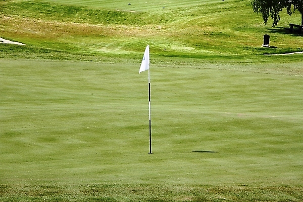 포토 JPG 해외이미지 백인 옷 밭 골프 그림자 잔디 성인 사람없음 초록색 장비 깃발 그늘 강의 집중 그네 클럽 길이 때리기 무료 평야 혼자 해외202004 해외포토 서양인 식물 컬러 컨셉 농업 모션 자연 사람 구기 파일형식 이미지허브