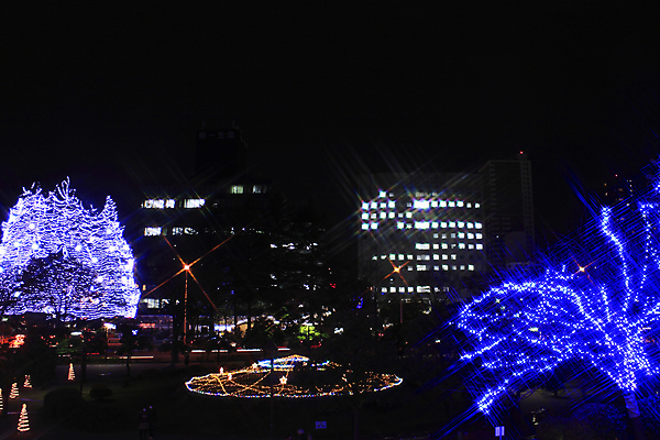 포토 JPG 해외이미지 나무 공원 겨울 조명 사람없음 빛 일본 야간 주도 해외202004 해외포토 자연요소 식물 계절 공공시설 아시아 예절 파일형식 이미지허브