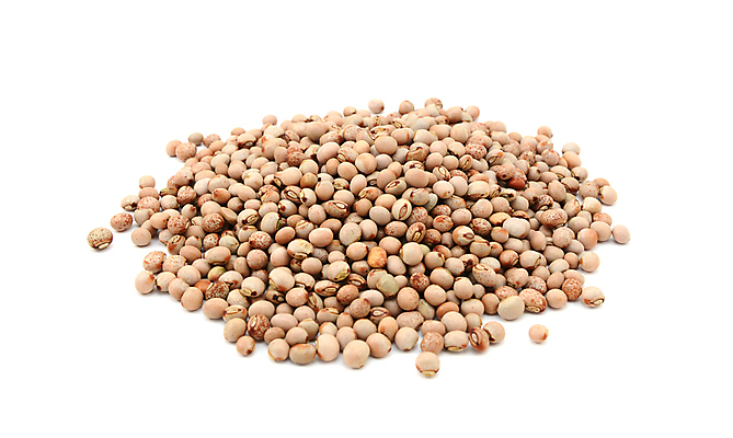 포토 JPG 해외이미지 음식 재료 건조 건강 사람없음 갈색 쌓기 점 질감 완두콩 흙더미 건강식 해외202004 해외포토 컬러 모션 콩 흙 파일형식 더미 이미지허브