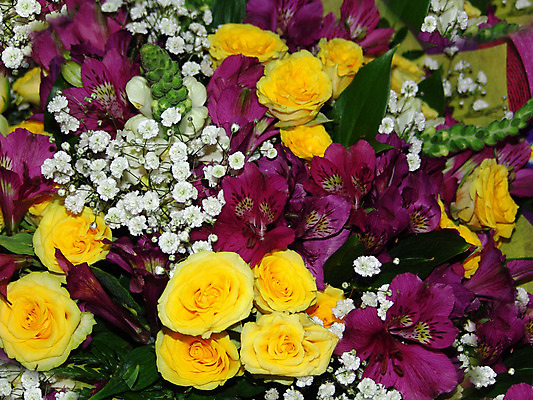 포토 JPG 해외이미지 식물 열매 꽃잎 꽃 꽃다발 백그라운드 꽃무늬 패턴 자연 벽지 선물 사람없음 장식 초록색 컬러풀 정원 축제 침묵 놀람 봄 벚꽃 하트 축하 신선 개화 의식 배열 심볼 순수 질감 기회 열정 내추럴 정물화 해외202004 해외포토 모양 계절 감정 컬러 컨셉 무늬 표정 소리 그림 생태계 파일형식 이미지허브