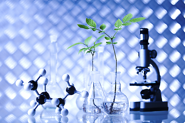 포토 JPG 해외이미지 식물 실내 현미경 실험 사람없음 아웃포커스 액체 화학 실험실 플라스크 비커 화학실험 분자구조모형 해외202004 해외포토 과학 촬영기법 실험기구 내부 모형 분자구조 파일형식이미지허브 