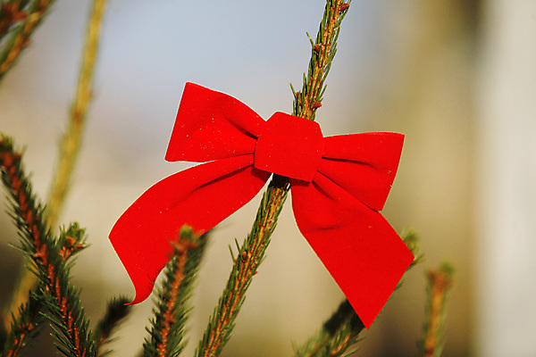 포토 JPG 해외이미지 나무 전통 계절 크리스마스 겨울 공 놀이 휴가 선물 사랑 사람없음 빨간색 산타클로스 축하 12월 마디 해외202004 해외포토 식물 기념일 감정 컬러 컨셉 날짜 파일형식 이미지허브