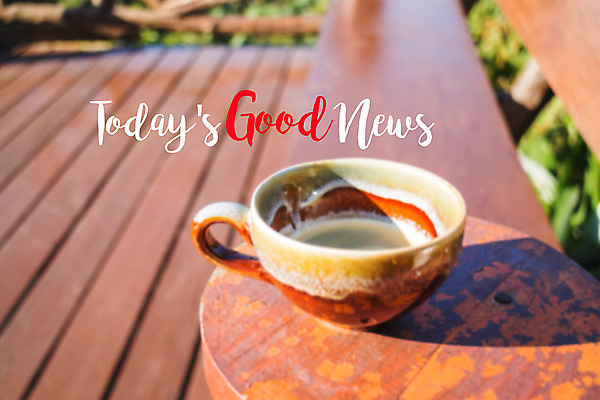 포토 JPG 해외이미지 포스터 커피 음료 문장 컨셉 벤치 의자 성공 추상 휴식 아이디어 따뜻함 풍경 사람없음 야외 컵 초록색 여름 정원 침묵 봄 신선 도자기 메시지 아침식사 휴양지 에스프레소 카페인 해외202004 해외포토 문자 식기 계절 컬러 가구 무늬 식사 소리 장소 파일형식 이미지허브