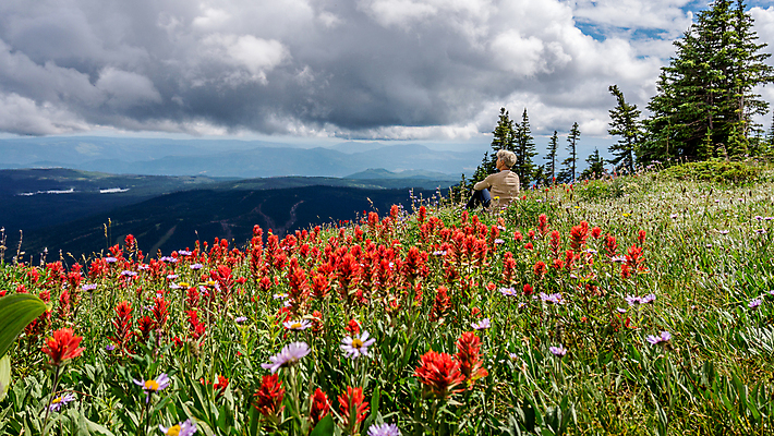 포토 JPG 해외이미지 나무 구름 꽃 할머니 캐나다 자국 자연 하늘 산 한명 풍경 경사 옆모습 초록색 여름 파란색 컬러풀 맑음 페인트 하이킹 흰색 붓 개화 숲 인도인 페인트붓 장면 상록수 절정 해외202004 해외포토 자연요소 외국인 식물 1 계절 여자 노년 뷰포인트 컬러 북아메리카 레저 날씨 사람 동양인 생태계 파일형식 이미지허브