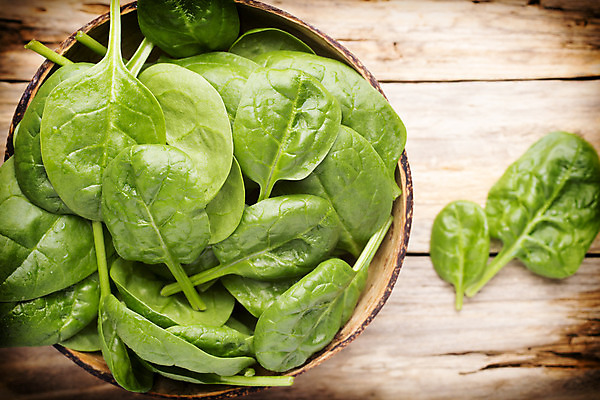 포토 JPG 해외이미지 식물 음식 백그라운드 잎 채소 재료 건강 사람없음 초록색 우주 흰색 신선 그룹 먹기 오브젝트 유기농 시금치 흙더미 고립 채식주의자 해외202004 해외포토 웰빙 컬러 모션 흙 채식 파일형식 더미 이미지허브