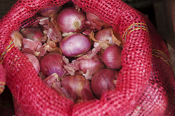 포토 JPG 해외이미지 식물 음식 채소 재료 양파 건강 사람없음 신선 허브 유기농 밭일 샬롯 해외202004 해외포토 웰빙 파일형식 이미지허브