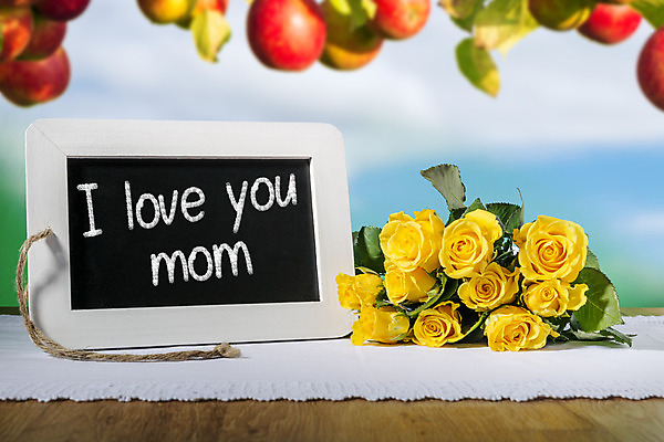 포토 JPG 해외이미지 접시 교육 꽃 백그라운드 학교 탁자 엄마 아침 휴가 프레임 발렌타인데이 사람없음 목재 여름 장미 갈색 노란색 우주 검은색 칠판 봄 공백 수확 흰색 시골 사과 메뉴 분필 질감 고립 무료 석판 옛날 해외202004 해외포토 주간 나무 식물 식기 계절 컬러 가구 농업 과일 재료 가족 데이이벤트 초크 파일형식 이미지허브