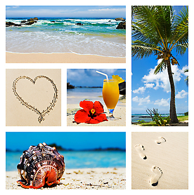 포토 JPG 해외이미지 나무 동물 웰빙 계절 꽃 음료 모래 파도 바다 섬 자연 휴가 휴식 건강 사랑 풍경 사람없음 물 여름 야자수 햇빛 태양 맑음 껍질 하트 칵테일 서핑 인쇄 발자국 휴양지 모음 포인세티아 내추럴 해외202004 해외포토 자연요소 모양 식물 감정 컨셉 자국 날씨 주류 장소 수상스포츠 생태계 파일형식 이미지허브