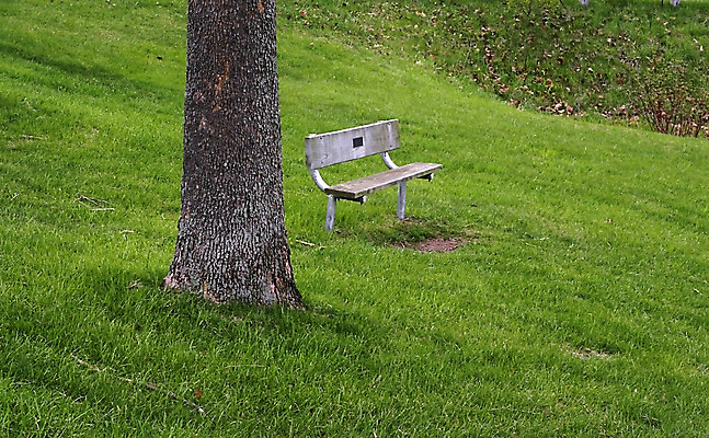 포토 JPG 해외이미지 나무 공원 여유 벤치 의자 자연 휴식 앉기 잔디 사람없음 목재 평화 편안함 손톱관리 언덕 명상 싱글 내추럴 옛날 혼자 해외202004 해외포토 식물 공공시설 감정 가구 컨셉 재료 모션 감각 네일아트 생태계 파일형식 이미지허브