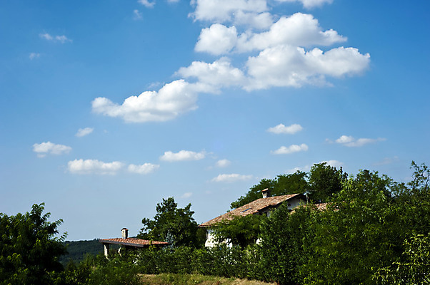 포토 JPG 해외이미지 나무 구름 행복 건축양식 가족 하늘 주택 풍경 사람없음 건물 여름 정원 침묵 시골 교외 해외202004 해외포토 자연요소 식물 건축물 계절 건축 감정 관계 소리 파일형식 이미지허브