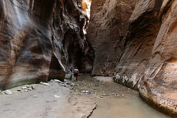 포토 JPG 해외이미지 공원 벽 여행 북아메리카 자연 숙이기 풍경 사람없음 야외 물 강 환경 계곡 미국 산책 땅 부식 통로 좁은 방문 목각 깊이 서쪽 시온산 전국 세련 해외202004 해외포토 자연요소 공공시설 포즈 휴식 아메리카 방향 생태계 파일형식 이미지허브