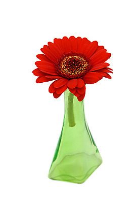 포토 JPG 해외이미지 식물 꽃 백그라운드 유리 사람없음 장식 빨간색 초록색 정원 꽃병 봄 흰색 원예 데이지 거베라 고립 해외202004 해외포토 계절 컬러 재질 취미 파일형식 이미지허브