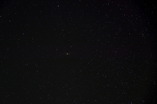 포토 JPG 해외이미지 별 과학 백그라운드 자연 벽지 하늘 추상 불꽃 사람없음 야외 빛 우주 검은색 어둠 별자리 야간 순수 코스모스 질감 은하계 점성술 천문학 별빛 성운 내추럴 깊이 무한 진짜 많음 현실 해외202004 해외포토 자연요소 교육 꽃 컬러 컨셉 무늬 불 생태계 파일형식 이미지허브