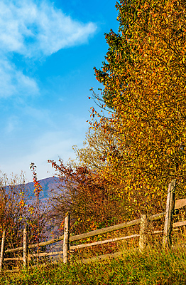 포토 JPG 해외이미지 식물 백그라운드 단풍 잎 패턴 자연 아침 산 풍경 사람없음 야외 목재 울타리 환경 가을 시골 화려 떨어짐 숲 만족 질감 장면 지역 층 혹 산악지대 교외 땅바닥 절정 해외202004 해외포토 주간 나무 계절 감정 컨셉 무늬 재료 바닥 담장 생태계 파일형식 이미지허브