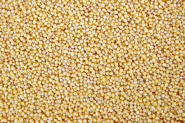 포토 JPG 해외이미지 식물 디자인 음식 빵 백그라운드 패턴 농업 재료 자연 벽지 추상 건조 건강 옥수수 씨앗 사람없음 농작물 갈색 노란색 검은색 식사 성장 가을 흰색 황금 낟알 시리얼 밀 먹기 유기농 질감 알맹이 날것 흙더미 내추럴 고립 수수 채식주의자 더스트파티클 해외202004 해외포토 웰빙 계절 산업 컬러 무늬 모션 곡류 흙 생태계 채식 파일형식 더미 이미지허브